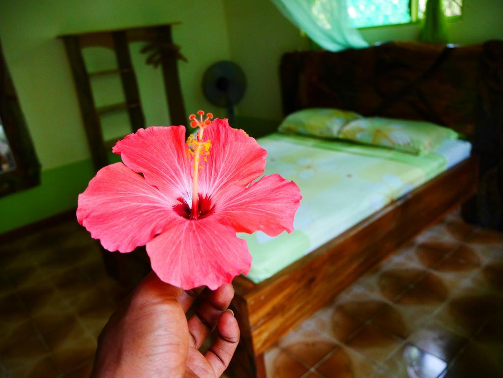 Cabinas Tito Cahuita Zewnętrze zdjęcie