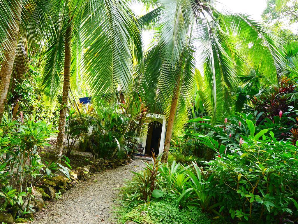 Cabinas Tito Cahuita Pokój zdjęcie